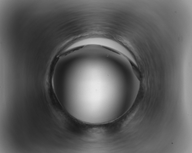 X0000088880536200706151813