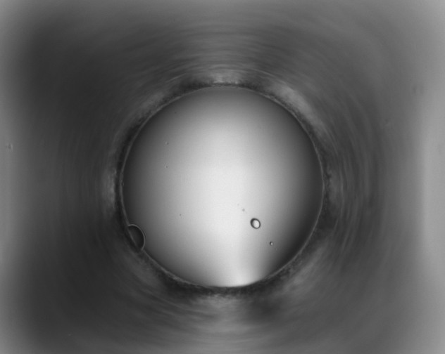 X0000088880537200706151813