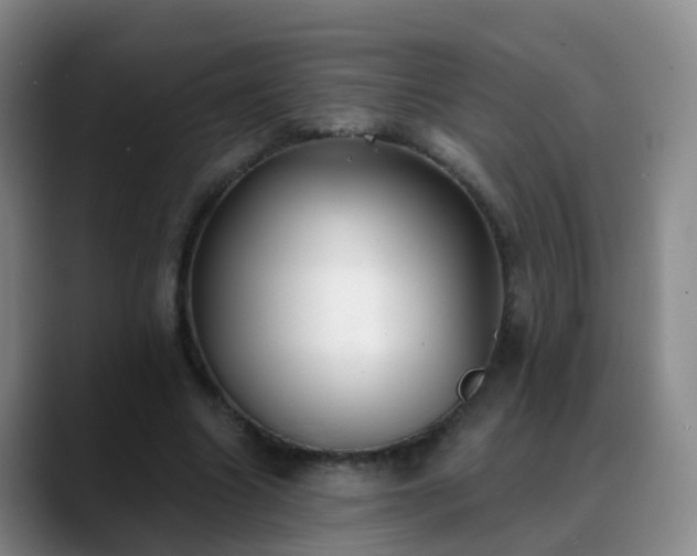 X0000088880538200706151813