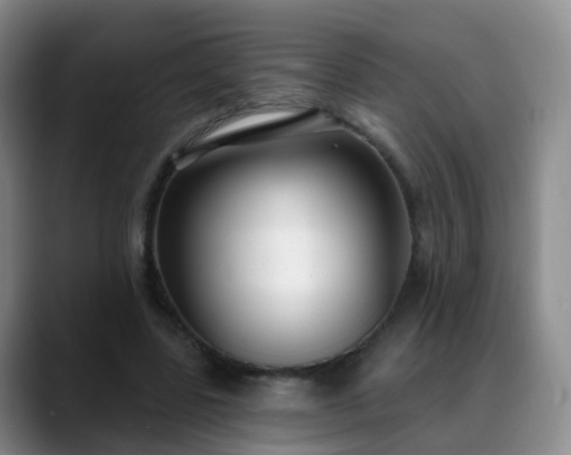 X0000088880539200706151813