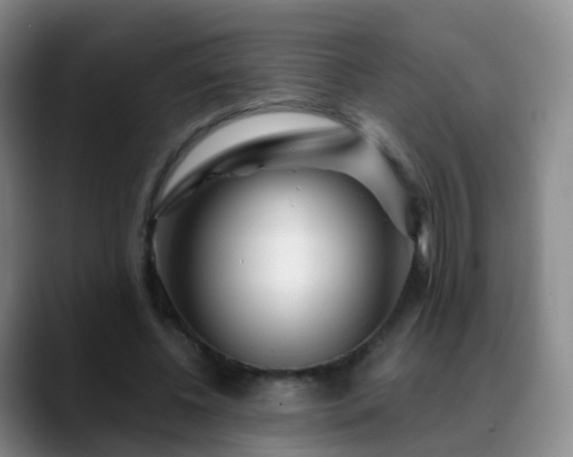 X0000088880540200706151813