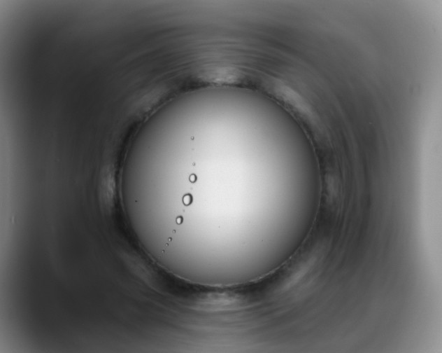 X0000088880541200706151813