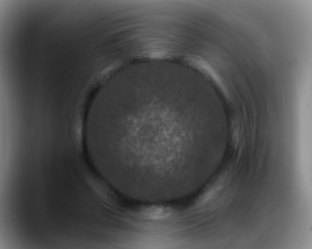 X0000088880542200706151813