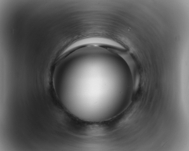 X0000088880544200706151813