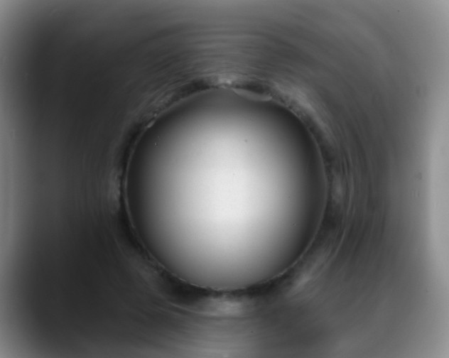 X0000088880545200706151813