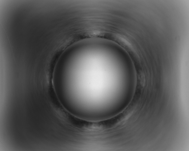 X0000088880546200706151813