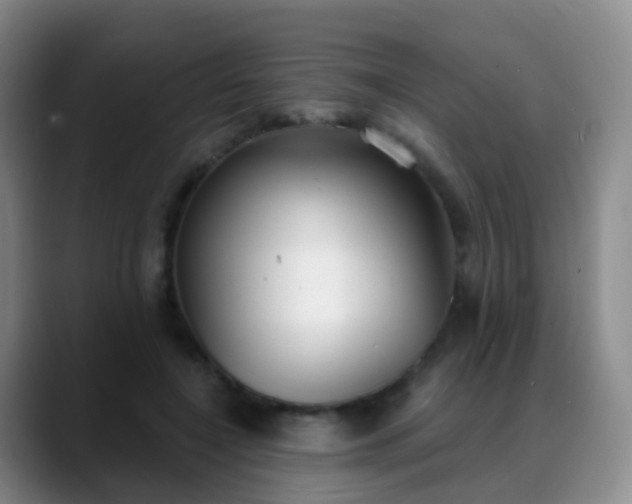 X0000088880548200706151813