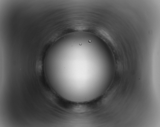 X0000088880549200706151813