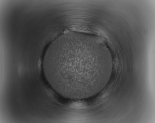 X0000088880550200706151813