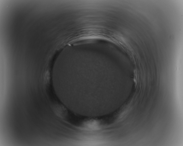 X0000088880551200706151813