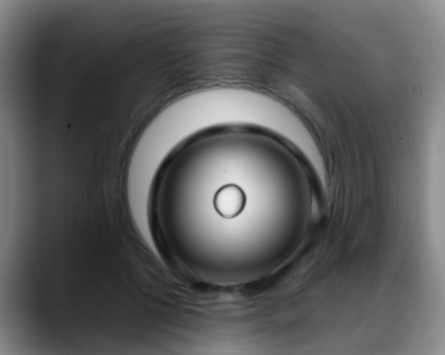 X0000088880552200706151813