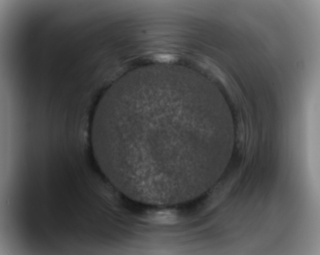 X0000088880553200706151813