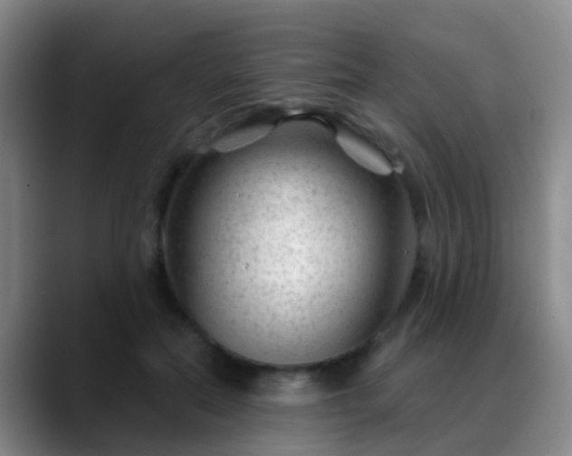 X0000088880554200706151813