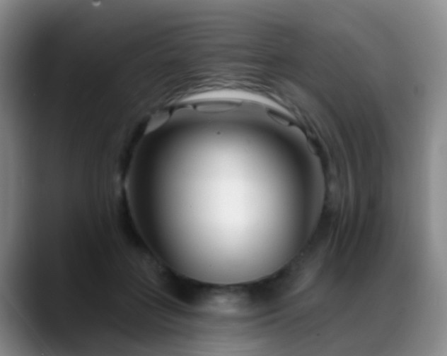 X0000088880555200706151813