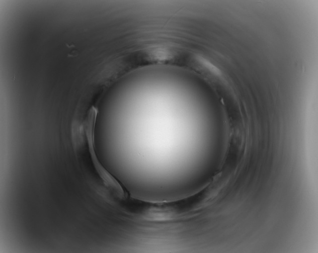 X0000088880556200706151813