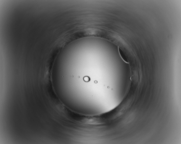 X0000088880557200706151813