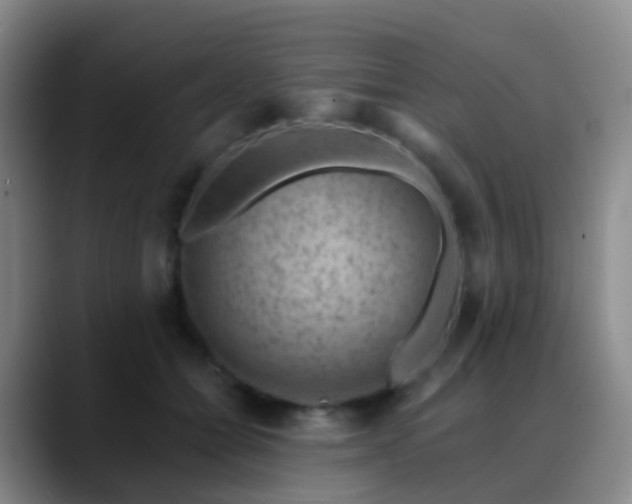 X0000088880558200706151813