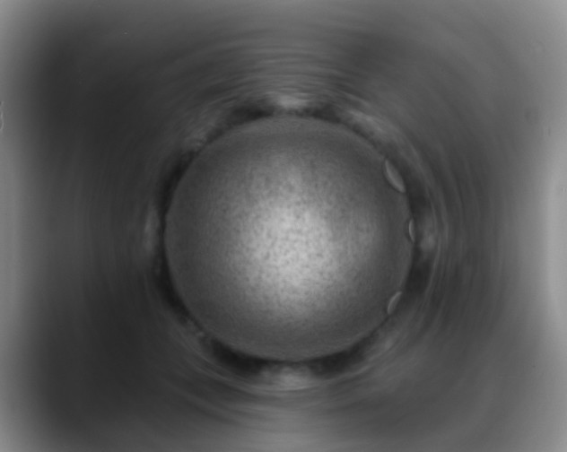 X0000088880559200706151813