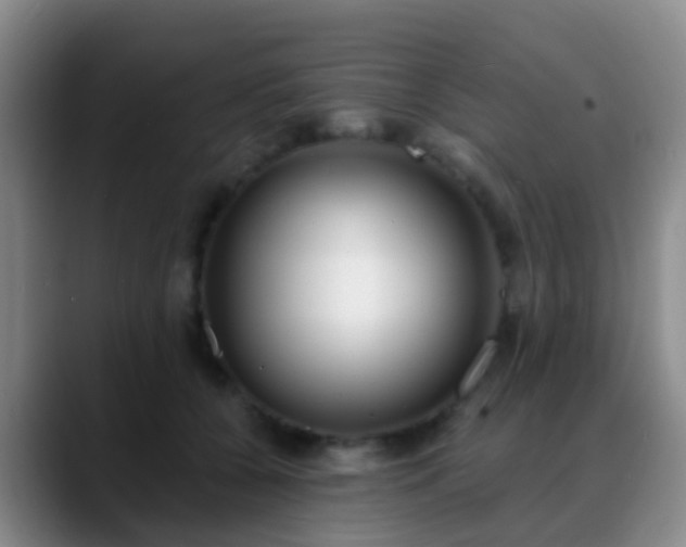 X0000088880560200706151813