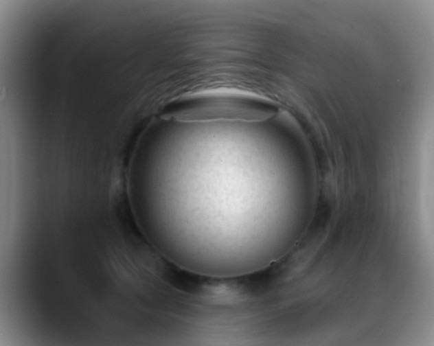 X0000088880561200706151813