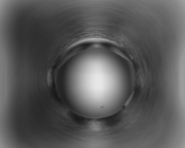 X0000088880562200706151813