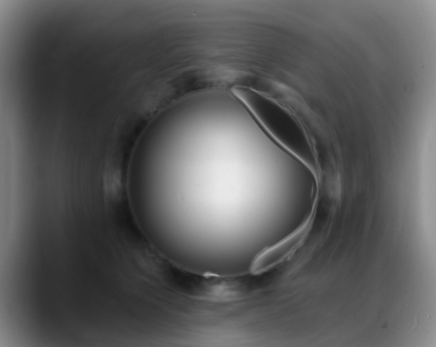 X0000088880564200706151813