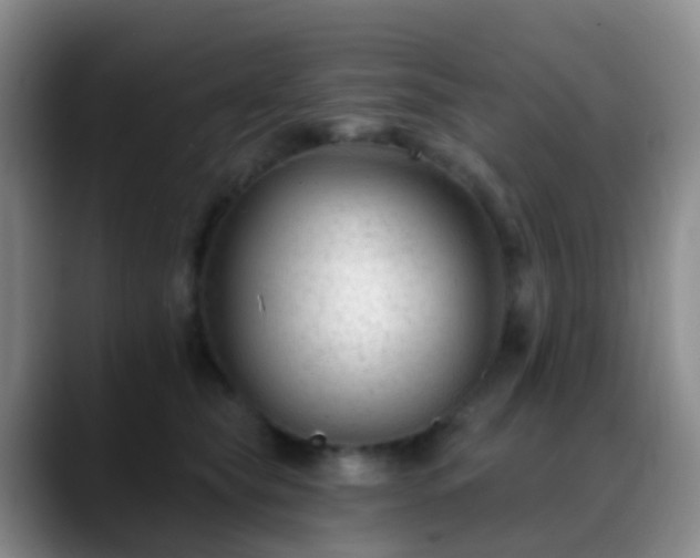 X0000088880565200706151813