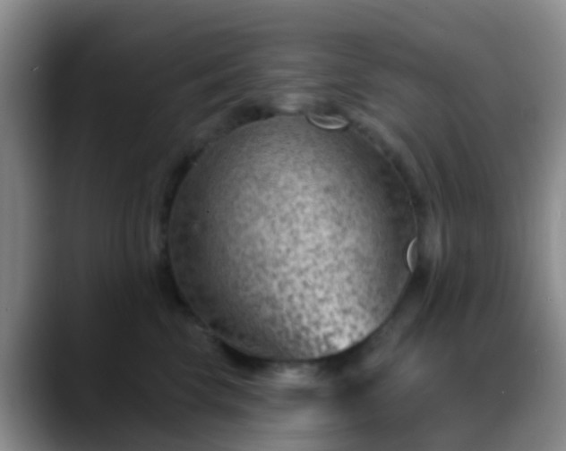 X0000088880569200706151813