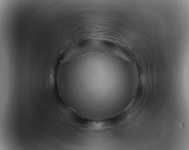 X0000088880570200706151813