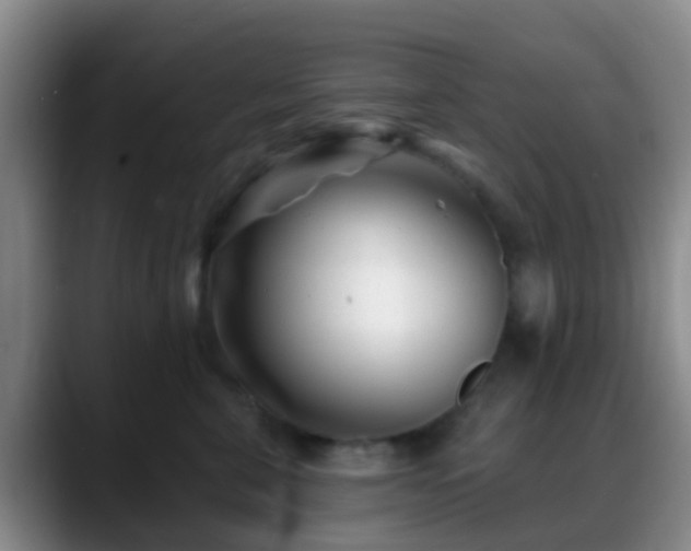 X0000088880571200706151813