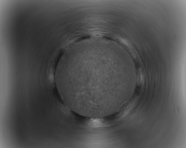 X0000088880573200706151813