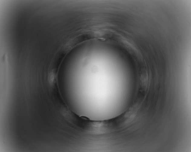 X0000088880574200706151813