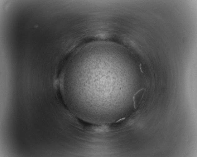 X0000088880576200706151813