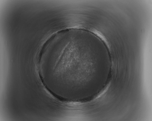 X0000088880577200706151813