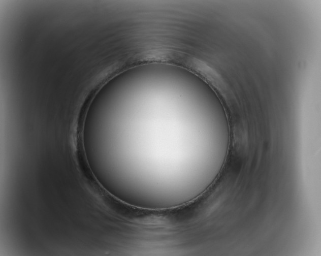 X0000088880578200706151813