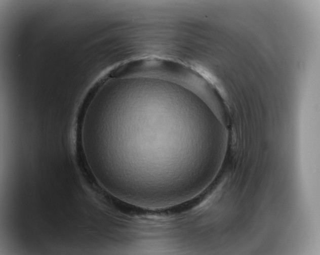 X0000088880580200706151813