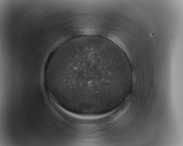 X0000088880581200706151813