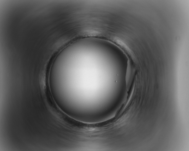 X0000088880582200706151813