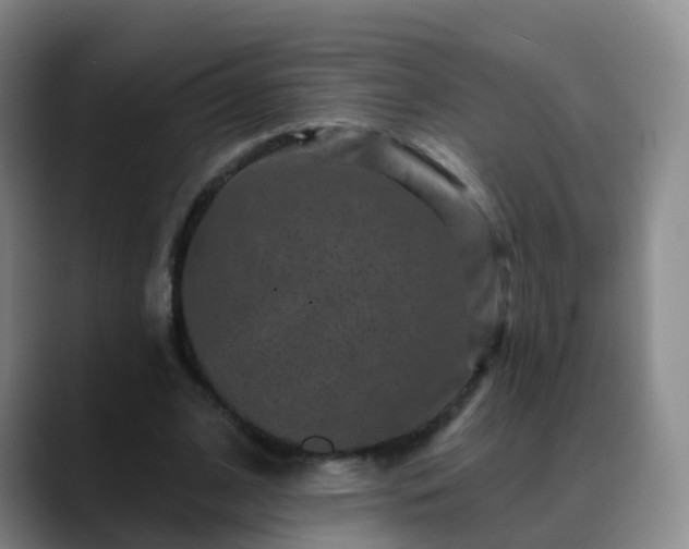 X0000088880584200706151813