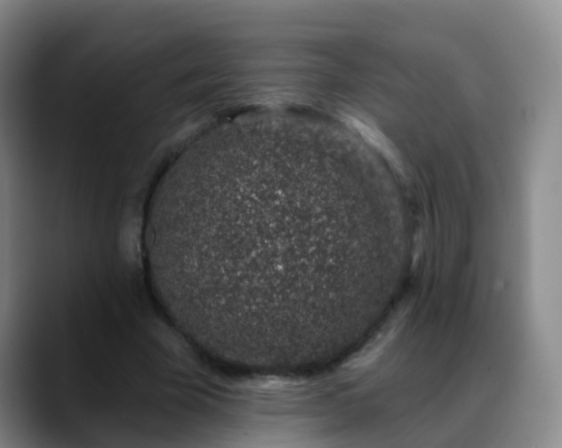 X0000088880585200706151813