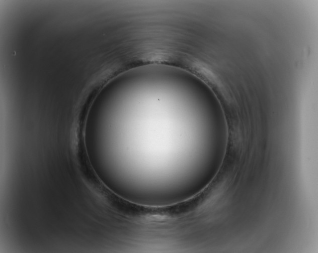 X0000088880586200706151813