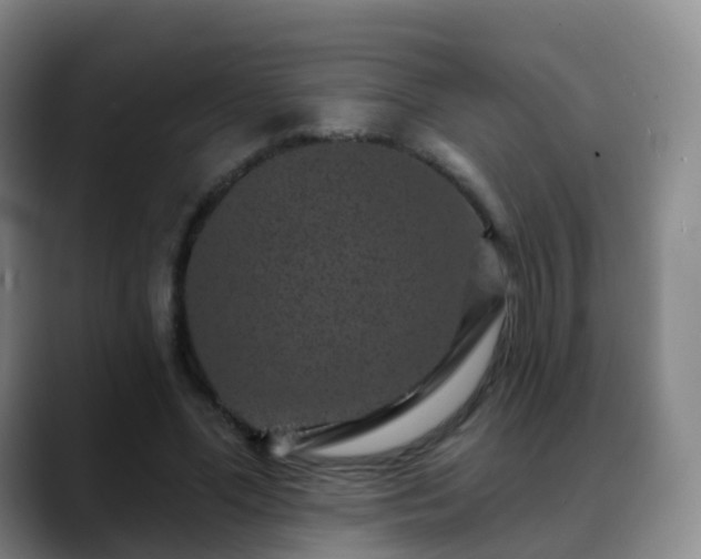 X0000088880588200706151813