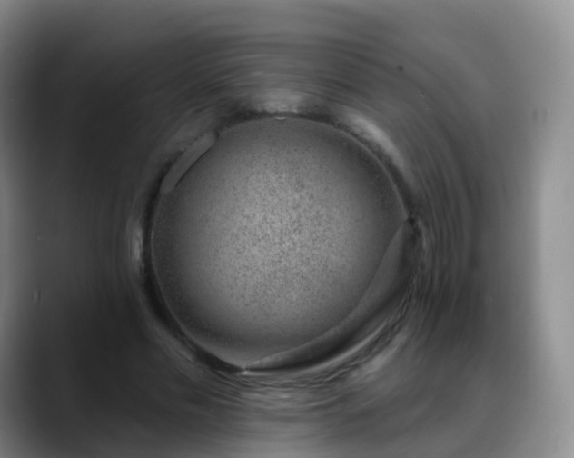 X0000088880589200706151813