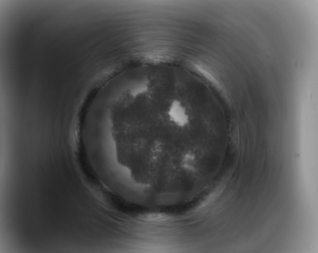 X0000088880590200706151813