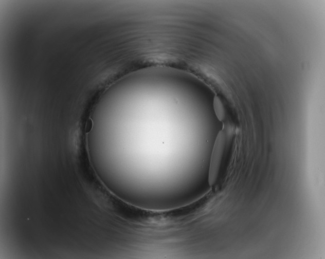 X0000088880591200706151813