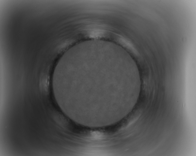 X0000088880592200706151813