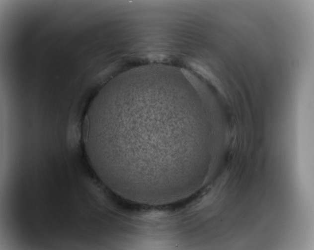 X0000088880593200706151813