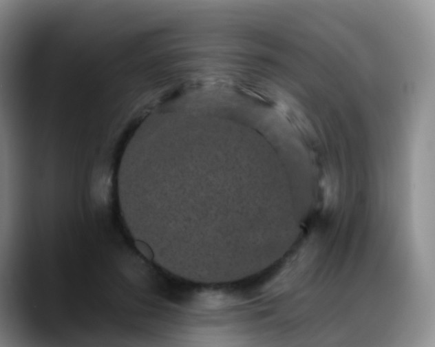 X0000088880596200706151813