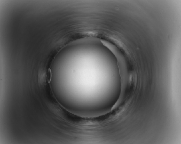 X0000088880597200706151813