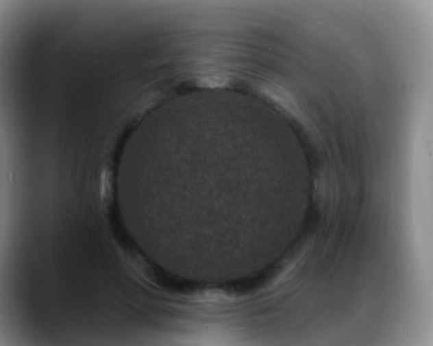 X0000088880598200706151813